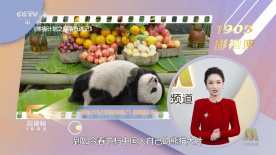 亚洲免费国产视频